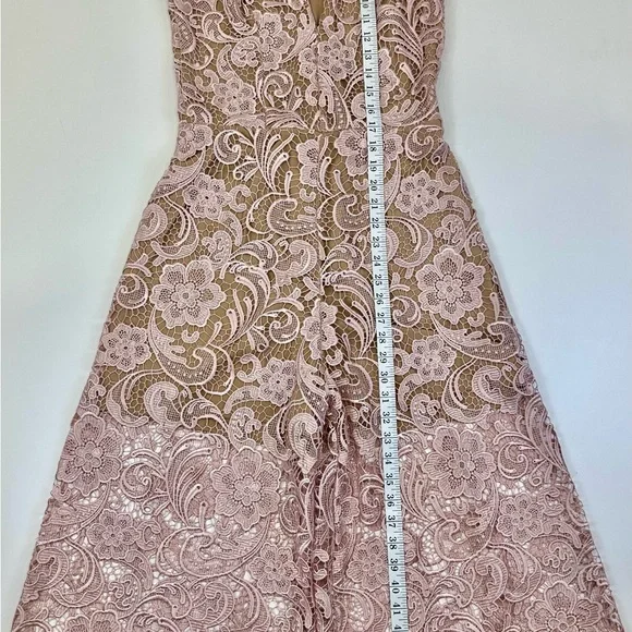 Dress the Population Blush Lace Jumpsuit
